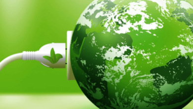 Decarbonization and Technology: Leading the Charge for a Greener Planet