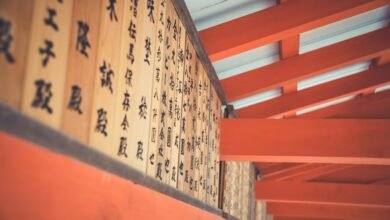 customer support phone number