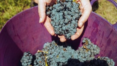 high yield investment recommendations