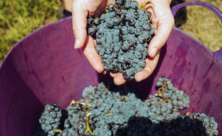 high yield investment recommendations