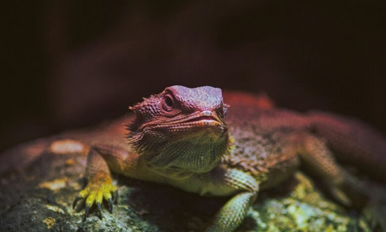 identifier behavior analysis metrics